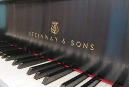 Piano for adult piano students