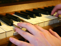Left_hand_on_piano_keys