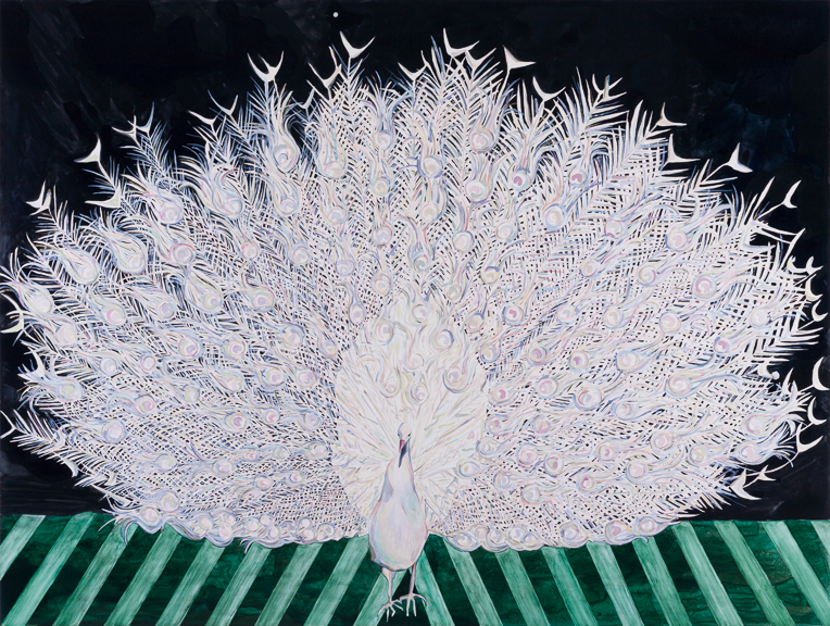 Annika_Connor_Augustus painting of white peacock