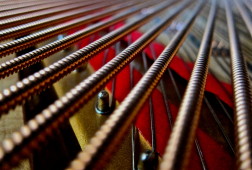 Frank_Schramm_piano_strings