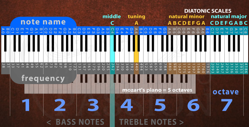Piano Keys: Theory, History, and Secrets Unlocked