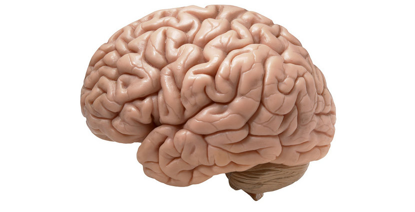 Your Brain on Adult Music Lessons