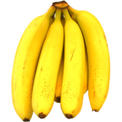 Bunch_of_bananas